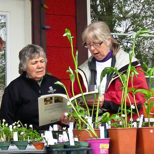 Castlegar Garden Club Annual Plant Sale